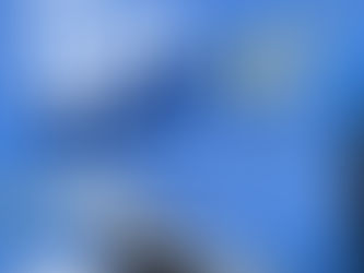 15 de março: Dia do Consumidor