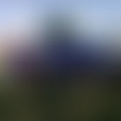 Bujari: Futebol em alta com primeira semifinal emocionante