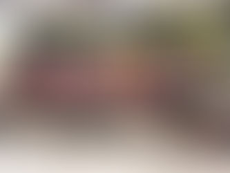 I Ciclo Formativo com os professores e equipe gestora da escola municipal Prof. Rita Maia