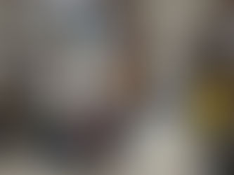 Parceria entre Estado e Município, proporcionará apoio aos imigrantes