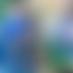 Brasiléia sedia o II Festival de Esportes Paralímpicos 2025: inclusão e superação em foco