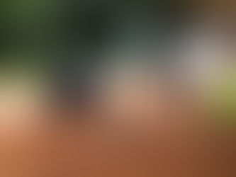 Ações educativas sobre o covid-19