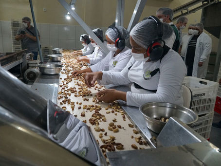 Prefeito Carlinhos do Pelado participa de visita à Cooperacre conhecendo de perto o potencial de produção e exportação de castanha-do-Brasil