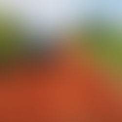 Prefeitura realiza melhorias no Ramal do Bigode para garantir trafegabilidade rural