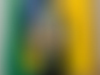 Câmara de Vereadores recebe prêmio dos Desbravadores no Dia Nacional da organização