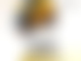 19 de abril: Dia dos Povos Indígenas