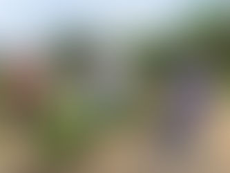 Fortalecimento da Cafeicultura: Prefeitura de Rodrigues Alves Realiza Visita Técnica a Produtores Locais