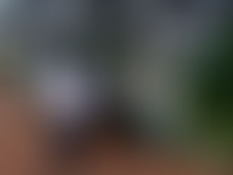 Combate a dengue é intensificado no município com uso de UBV e nebulizadores costais