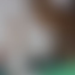 Prefeito Jerry Correia recebe senador Petecão em Assis Brasil e agradece apoio ao município