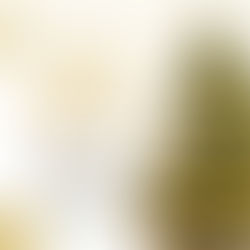 Feliz Natal e boas festas!