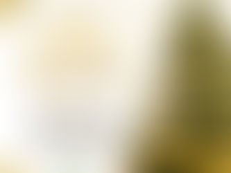  Feliz Natal e boas festas!