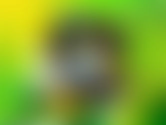 7 de setembro: Dia da Independência do Brasil!