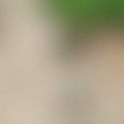 Prefeitura de Feijó e Deracre iniciam obras do novo campus do Ifac!