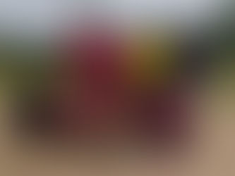 5ª Rodada do Campeonato do Ramal do Ouro