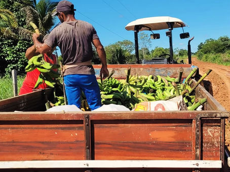 Ação de Retirada de Atoleiros no PA Antônio de Holanda e retirada apoio à Produção Familiar no Centro Virgem