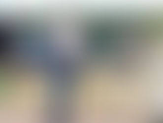 Vereadora reivindica trafegabiliade no ramal São Luis do Remanso e apoia produção de banana
