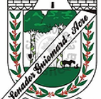 Brasao pmsg.png