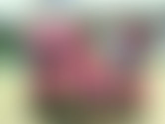 Rodada do Campeonato Infantil agita manhã de sábado no ginásio de esportes