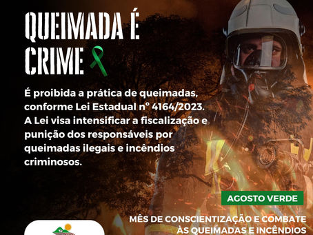 Agosto verde: Mês da Conscientização e Combate às queimadas e incêndios