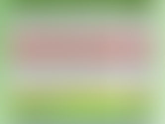 Boletim Covid-19 atualizado, 02 de julho de 2020