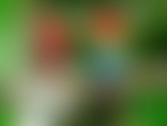 05 de setembro: Dia da Amazônia