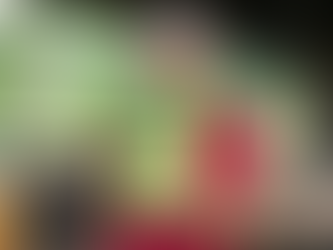 Produtores de Rodrigues Alves aprimoram técnicas no curso de farinha de qualidade e derivados