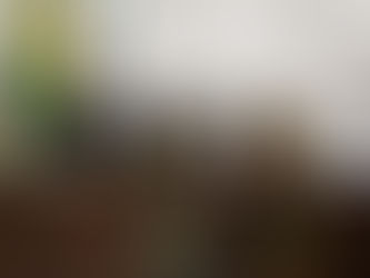 Prefeita Fernanda Hassem Participa do Reinicio das Sessões no Poder Legislativo