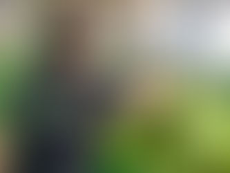 Prefeitura de Brasiléia realiza entrega de produtos do PAA a instituição e famílias do aluguel 