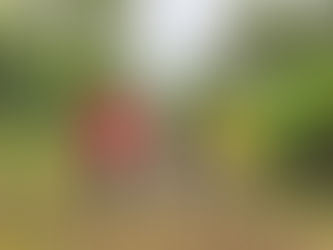 Prefeitura revitaliza trilha que dá acesso à Ponte Binacional