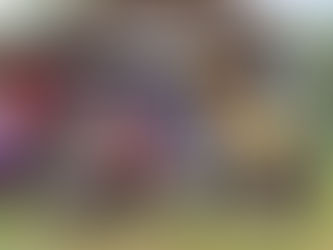 Cooperação: Prefeito de Assis Brasil participa de encontro da COOPEGRÃOS e doa trilhadeira de grãos