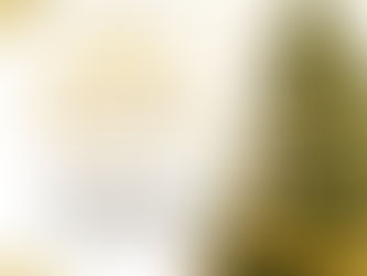 Feliz Natal e boas festas!