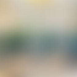 Prefeito Jerry Correia recebe representantes da Cooperativa Coocafé para discutir ações de apoio aos produtores rurais