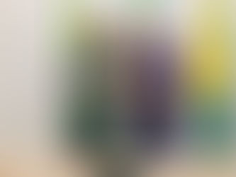 Prefeito Jerry Correia recebe em seu gabinete Gabriela Câmara, presidente do Iteracre, e sua equipe