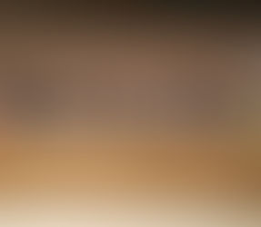 Em agenda em Brasília-DF, secretário de saúde, prestigia apresentação do Plano Nacional de vacinação contra a dengue e o novo modelo de financiamento da Atenção Básica.