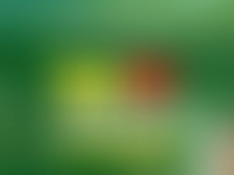 28 de dezembro: Aniversário de Rio Branco