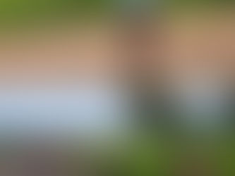 Passeio ciclístico marca as celebrações do Dia Internacional da Mulher em Senador Guiomard