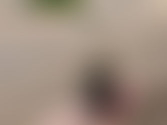 Manoel Urbano recebe doação de mudas para arborização urbana