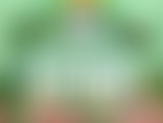 Campeonato feminino inicia no sábado, 22, compareça e monte sua torcida. Ginásio José Dantas