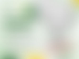 17 de novembro: Tratado de Petrópolis