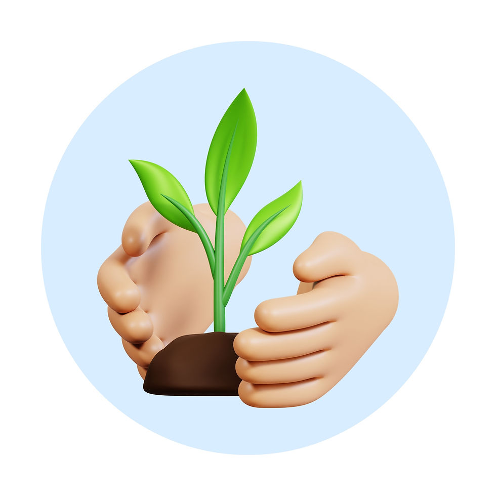 Implantação e Assistência Tecnica no cultivo do Café.