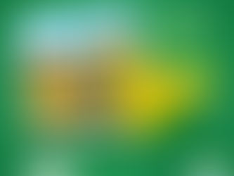 15 de junho: Aniversário do Estado do Acre. Parabéns pelos seus 62 anos de história