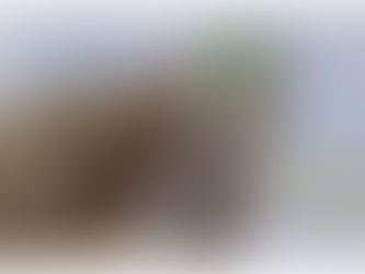 Sena Madureira recebe mais um lote de vacinas contra a covid-19 