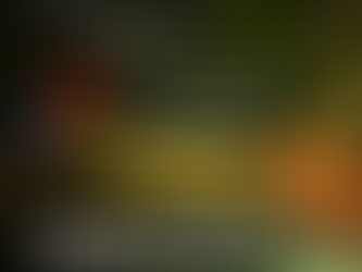 5 de setembro: Dia da Amazônia