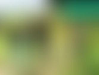 Prefeito Jerry Correia visita viveiro de mudas de café clonal e destaca incentivo à agricultura local