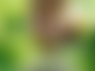 19 de abril: Dia dos povos Indígenas