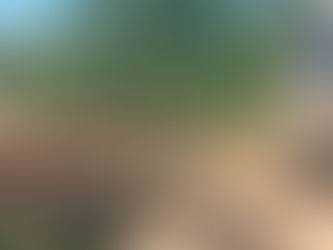 Vice-Presidente da Câmara Municipal de Manoel Urbano, vereador Célio Vaz acompanha os trabalhos