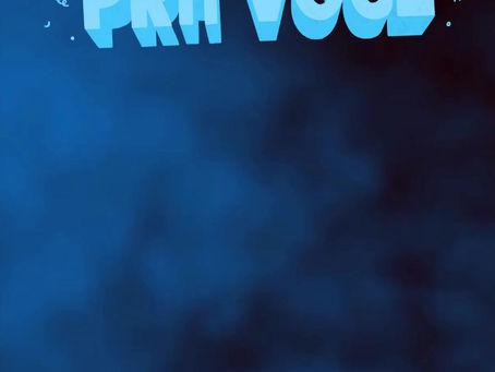 Câmara Municipal de Porto Acre parabeniza o vereador Leandro Bezerra