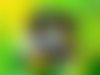 7 de setembro: Dia da Independência do Brasil!