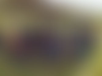 Prefeitura realiza visita a comunidade da Subaia, na beira do rio