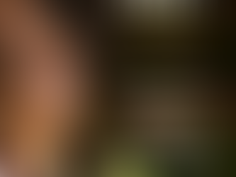 19 de abril: Dia do Índio